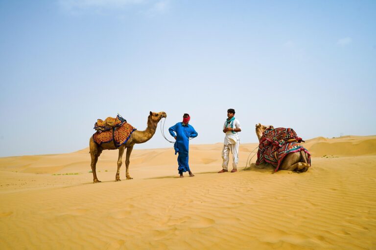 desert, camel, travel, transport, sand, dunes, men, rajasthan, nature, jaipur, india