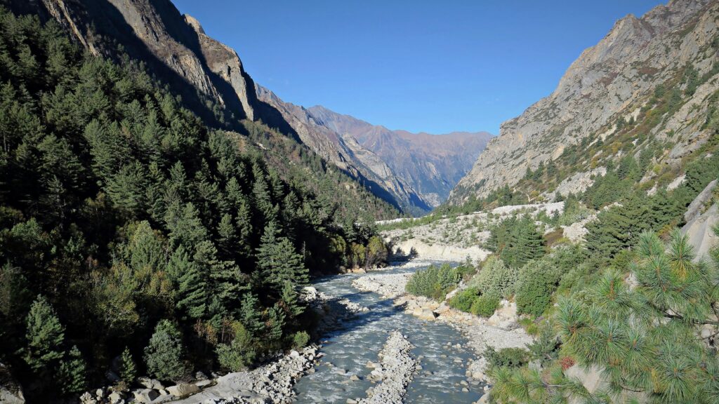 Breathtaking view of a river flowing through the Gangotri mountains with lush greenery.